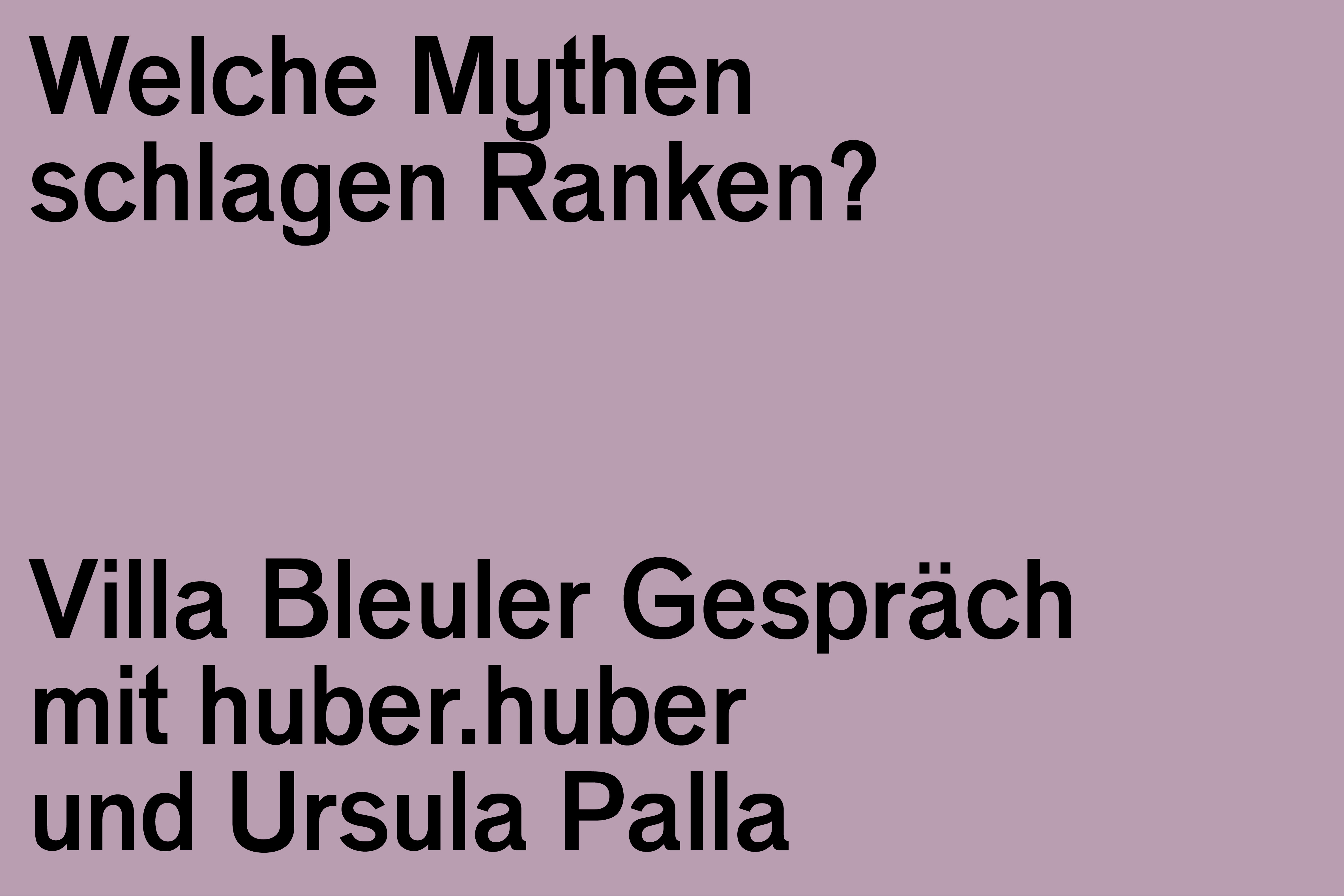 Villa Bleuler Gespräch: huber.huber / Palla